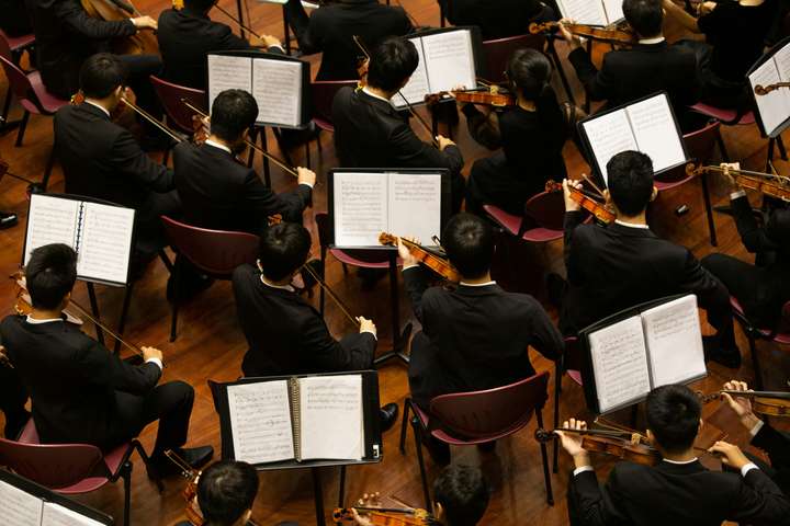 Des musiciens d'orchestre vu de dos